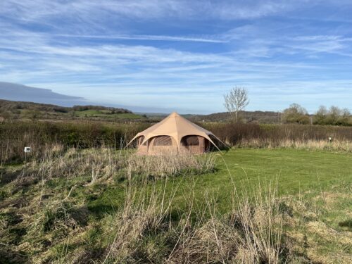 Astar tent up on a large grass camping pitch bordered with tall grasses