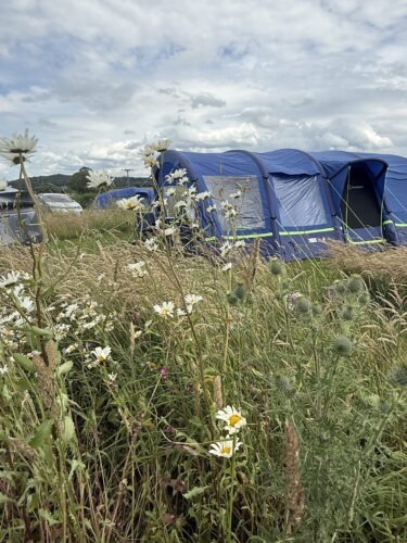 A tent pitched on a fully serviced pitch