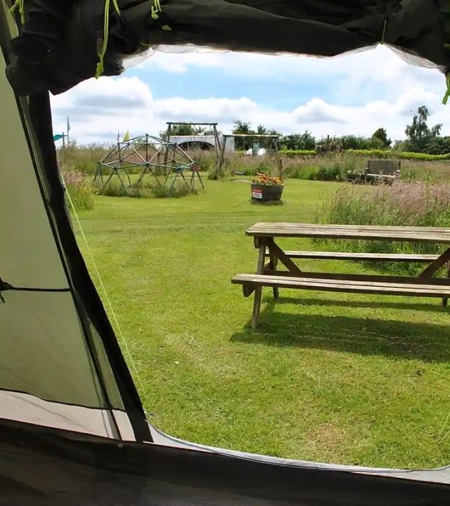 View from a tent opening looking out towards the campsite